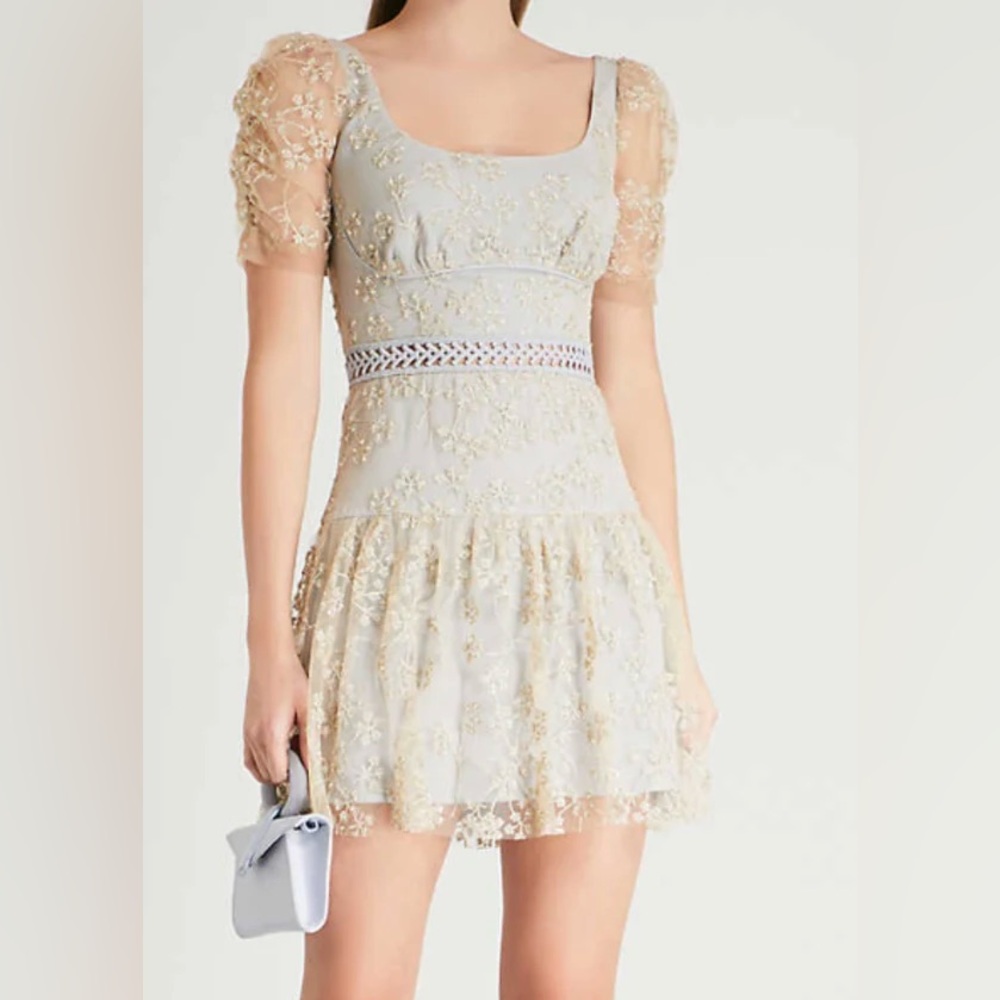 Floral Mesh Lace Gold and Blue Dress - Picture 2 of 5